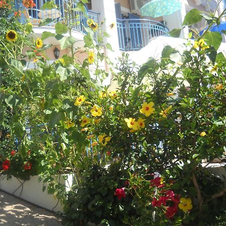 Olive Bay Hotel Agia Efimia Extérieur photo